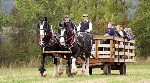 Enjoy scotch, bagpipes and Clydesdales at this Okanagan farm next weekend