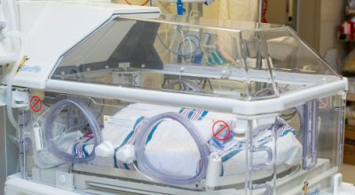 Community raises over $135K to purchase Giraffe for babies born in Vernon